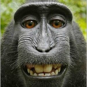 Meet your Posher, Joshua